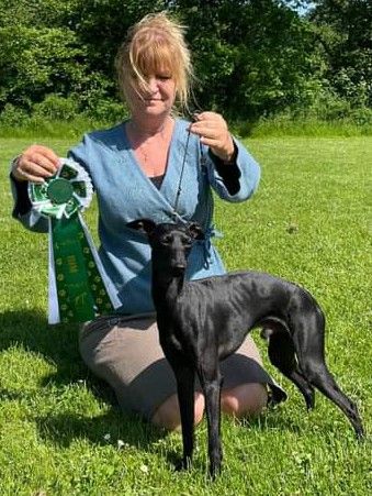 orion's - DANISH SIGHTHOUND CLUB / Vegen [Danemark] !!!!!!