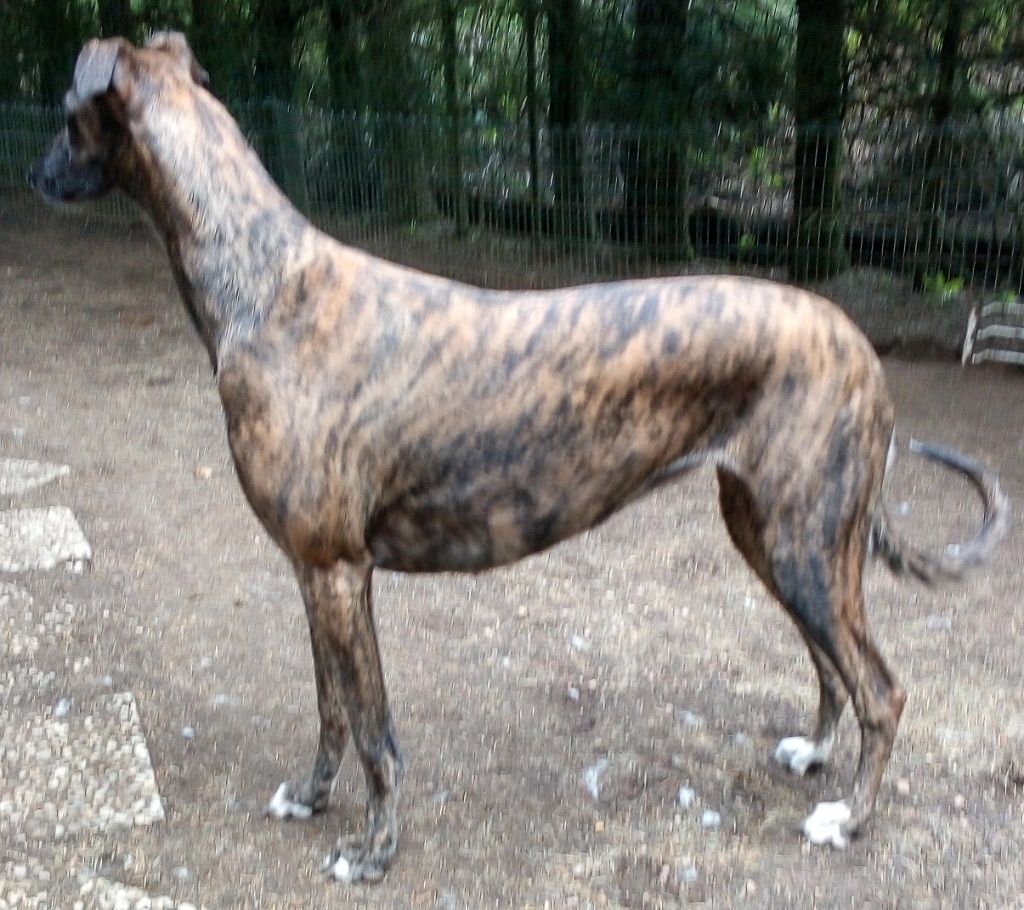 orion's - LIZA [Orion's New-York New-York] / Bientôt 3 ans !!!!!!